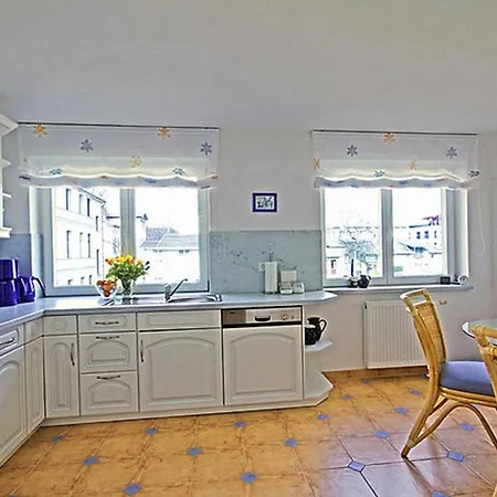 Seestern _ 10 Heringsdorf