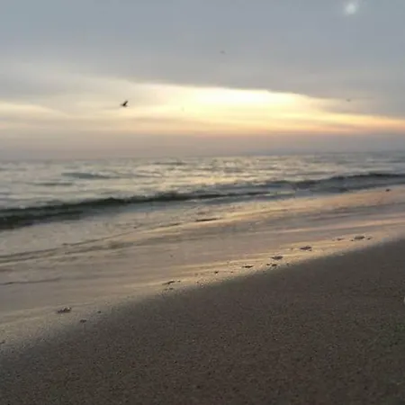 Seestern _ 10 Apartman